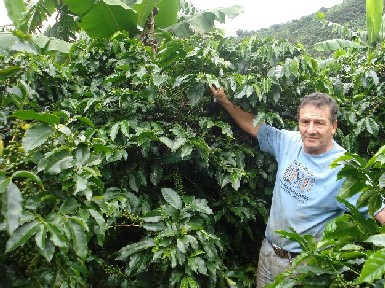 76 lbs THIRD-PLACE 2009 COSTA RICA CUP OF EXCELLENCE� GREEN COFFEE ($9.99/lb)